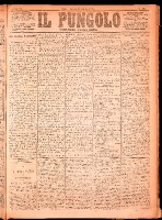 NA0079-Il_pungolo_giornale_politico-1874-04-11-0001.tif.jpg