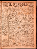 NA0079-Il_pungolo_giornale_politico-1874-04-30-0001.tif.jpg