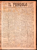 NA0079-Il_pungolo_giornale_politico-1874-05-01-0001.tif.jpg