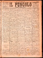 NA0079-Il_pungolo_giornale_politico-1874-05-08-0001.tif.jpg