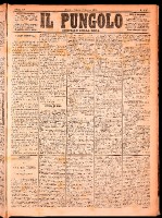 NA0079-Il_pungolo_giornale_politico-1874-05-02-0001.tif.jpg