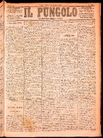 NA0079-Il_pungolo_giornale_politico-1874-05-19-0001.tif.jpg