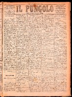 NA0079-Il_pungolo_giornale_politico-1874-06-01-0001.tif.jpg