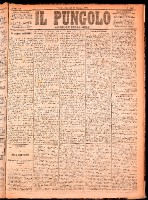 NA0079-Il_pungolo_giornale_politico-1874-06-11-0001.tif.jpg