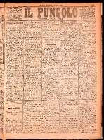 NA0079-Il_pungolo_giornale_politico-1874-06-03-0001.tif.jpg