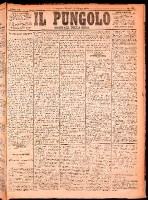 NA0079-Il_pungolo_giornale_politico-1874-06-12-0001.tif.jpg