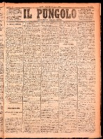 NA0079-Il_pungolo_giornale_politico-1874-06-05-0001.tif.jpg