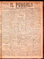 NA0079-Il_pungolo_giornale_politico-1874-06-14-0001.tif.jpg