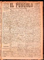 NA0079-Il_pungolo_giornale_politico-1874-06-16-0001.tif.jpg