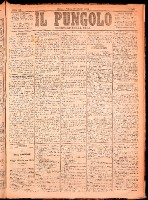 NA0079-Il_pungolo_giornale_politico-1874-06-20-0001.tif.jpg