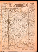 NA0079-Il_pungolo_giornale_politico-1874-07-02-0001.tif.jpg