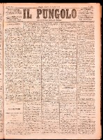 NA0079-Il_pungolo_giornale_politico-1874-08-06-0001.tif.jpg