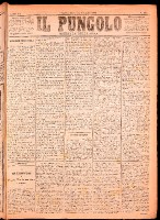 NA0079-Il_pungolo_giornale_politico-1874-07-05-0001.tif.jpg