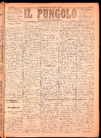 NA0079-Il_pungolo_giornale_politico-1874-07-08-0001.tif.jpg