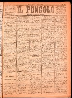 NA0079-Il_pungolo_giornale_politico-1874-07-11-0001.tif.jpg