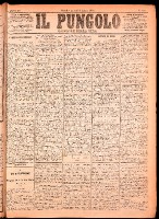 NA0079-Il_pungolo_giornale_politico-1874-07-06-0001.tif.jpg