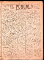 NA0079-Il_pungolo_giornale_politico-1874-07-20-0001.tif.jpg