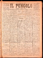 NA0079-Il_pungolo_giornale_politico-1874-07-14-0001.tif.jpg