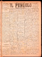 NA0079-Il_pungolo_giornale_politico-1874-07-03-0001.tif.jpg