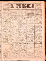 NA0079-Il_pungolo_giornale_politico-1874-08-07-0001.tif.jpg