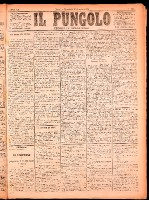 NA0079-Il_pungolo_giornale_politico-1874-07-29-0001.tif.jpg