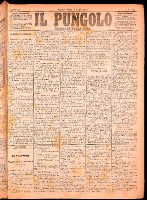 NA0079-Il_pungolo_giornale_politico-1874-07-04-0001.tif.jpg