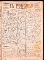 NA0079-Il_pungolo_giornale_politico-1874-07-23-0001.tif.jpg