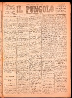 NA0079-Il_pungolo_giornale_politico-1874-07-12-0001.tif.jpg