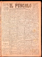 NA0079-Il_pungolo_giornale_politico-1874-07-21-0001.tif.jpg