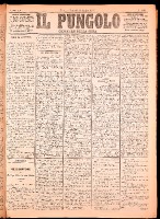 NA0079-Il_pungolo_giornale_politico-1874-07-10-0001.tif.jpg