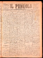 NA0079-Il_pungolo_giornale_politico-1874-07-17-0001.tif.jpg