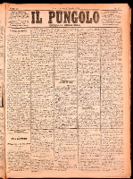 NA0079-Il_pungolo_giornale_politico-1874-07-25-0001.tif.jpg