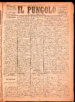 NA0079-Il_pungolo_giornale_politico-1874-07-28-0001.tif.jpg