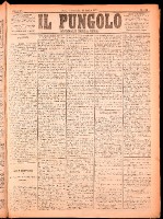 NA0079-Il_pungolo_giornale_politico-1874-07-19-0001.tif.jpg