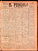 NA0079-Il_pungolo_giornale_politico-1874-07-31-0001.tif.jpg