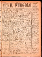 NA0079-Il_pungolo_giornale_politico-1874-07-30-0001.tif.jpg