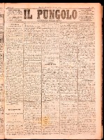 NA0079-Il_pungolo_giornale_politico-1874-08-11-0001.tif.jpg