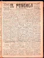 NA0079-Il_pungolo_giornale_politico-1874-08-02-0001.tif.jpg