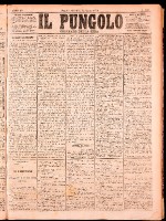 NA0079-Il_pungolo_giornale_politico-1874-08-12-0001.tif.jpg