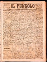 NA0079-Il_pungolo_giornale_politico-1874-08-13-0001.tif.jpg