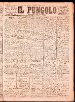 NA0079-Il_pungolo_giornale_politico-1874-08-05-0001.tif.jpg