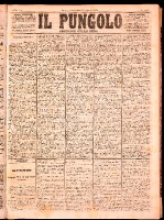 NA0079-Il_pungolo_giornale_politico-1874-08-16-0001.tif.jpg