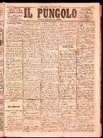 NA0079-Il_pungolo_giornale_politico-1874-08-18-0001.tif.jpg