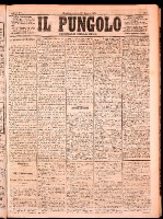 NA0079-Il_pungolo_giornale_politico-1874-08-22-0001.tif.jpg