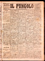 NA0079-Il_pungolo_giornale_politico-1874-08-24-0001.tif.jpg