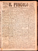 NA0079-Il_pungolo_giornale_politico-1874-08-28-0001.tif.jpg