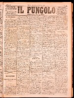 NA0079-Il_pungolo_giornale_politico-1874-09-02-0001.tif.jpg