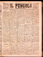 NA0079-Il_pungolo_giornale_politico-1874-09-03-0001.tif.jpg