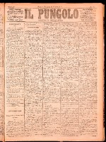 NA0079-Il_pungolo_giornale_politico-1874-10-14-0001.tif.jpg