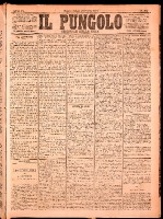 NA0079-Il_pungolo_giornale_politico-1874-10-31-0001.tif.jpg